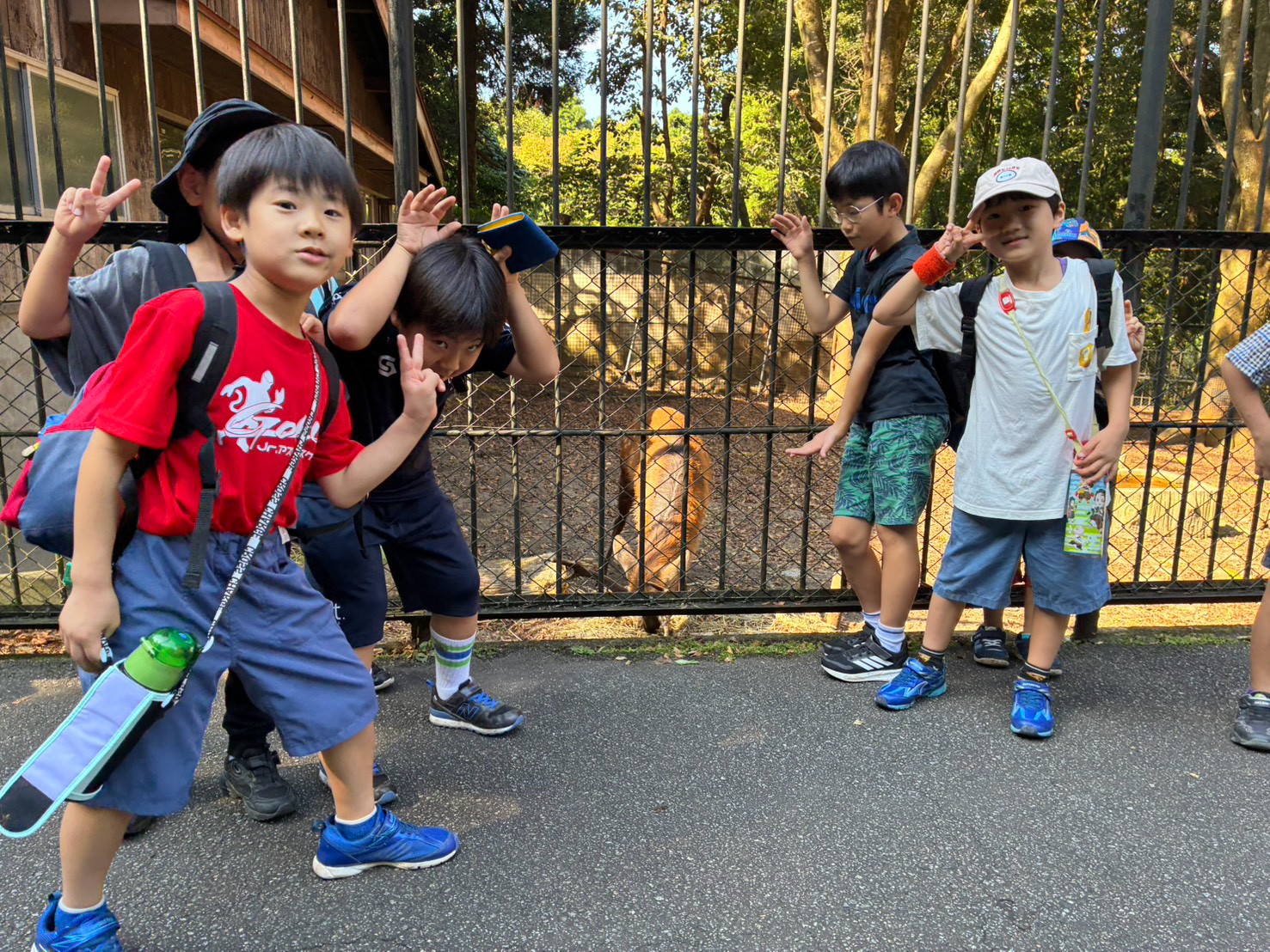 富山市ファミリーパークで動物を観察する子どもたち