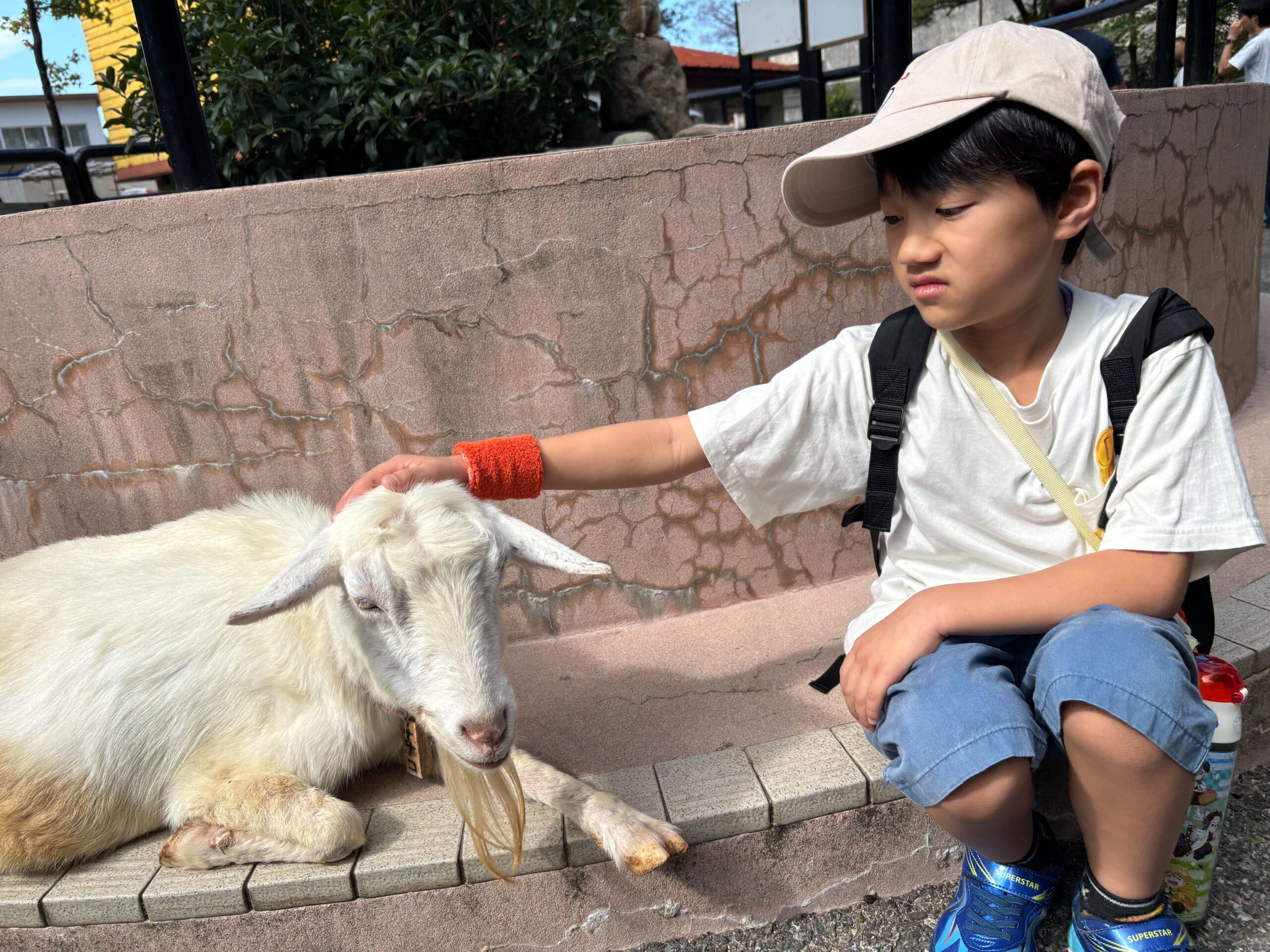 富山市ファミリーパークでヤギとふれあう子ども